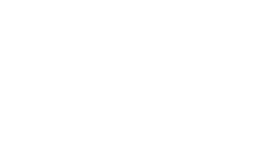 Esskay Ortho Logo